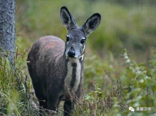 11月23日 漢中快訊