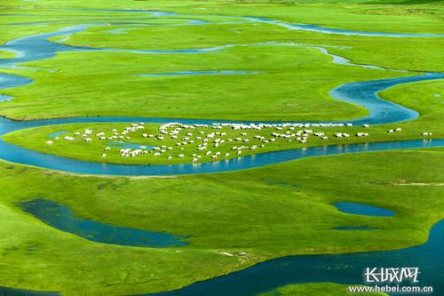 張家口 保護濕地建屏障,綠色生態 好氣質