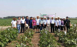 2018年特用作物學(xué)術(shù)研討會在淄博召開