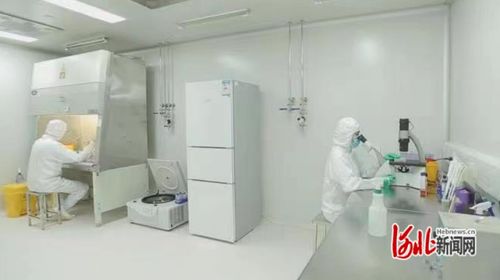 石家莊市國際生物醫(yī)藥園靠前服務(wù)助力企業(yè)項目建設(shè)提速增效