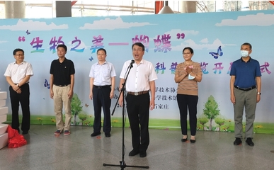 河北省科協 科協要聞 王海龍出席&ldquo;生物之美-蝴蝶&rdquo;主題科普展覽開展儀式
