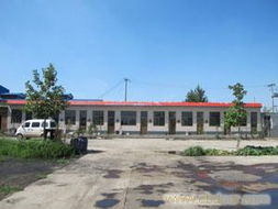 供應(yīng)石家莊高效低價(jià)的雞糞,發(fā)酵雞糞希星暢銷全國廠家