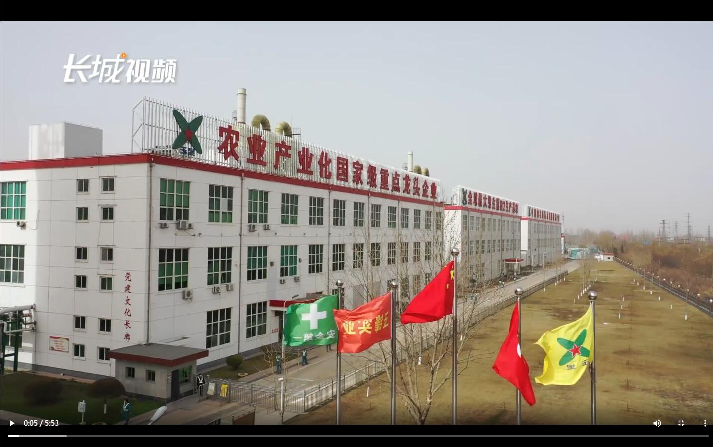 位于寧晉縣的河北玉鋒大健康生物產(chǎn)業(yè)園內(nèi),玉鋒實(shí)業(yè)集團(tuán)副總.