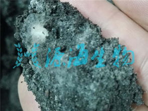 綏化市有機(jī)肥價(jià)格 綏化雞糞有機(jī)肥廠家