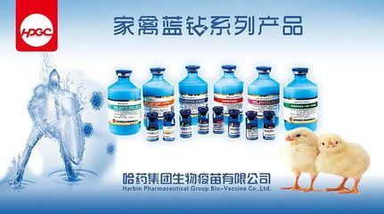 《2022年河北省主要動物疫病免疫計劃》《2022年河北省主要動物疫病監(jiān)測和流行病學調查計劃》